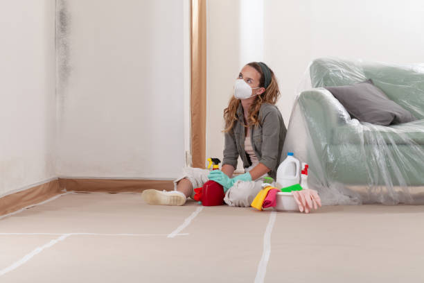 Reliable Mold Cleanup contractor in Spring Hill, FL by Cheap Mold Removal